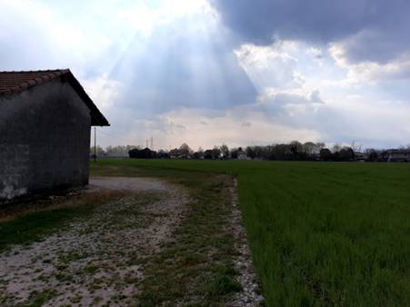 terreni agricoli e capannoni - San Vito al Tagliamento