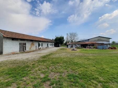 terreni agricoli e capannoni - San Vito al Tagliamento