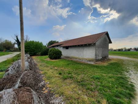 terreni agricoli e capannoni - San Vito al Tagliamento