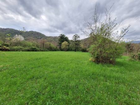 rustico e terreno - 