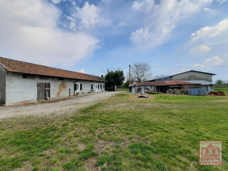 terreni agricoli e capannoni - San Vito al Tagliamento