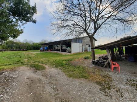 terreni agricoli e capannoni - San Vito al Tagliamento